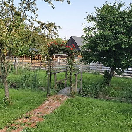 U Durkovych Guest House Zabokreky Nad Nitrou Bagian luar foto