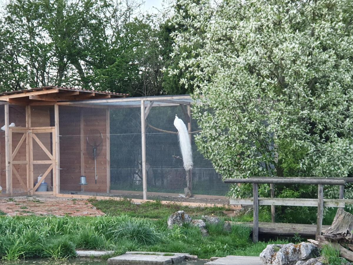 U Durkovych Guest House Zabokreky Nad Nitrou Bagian luar foto