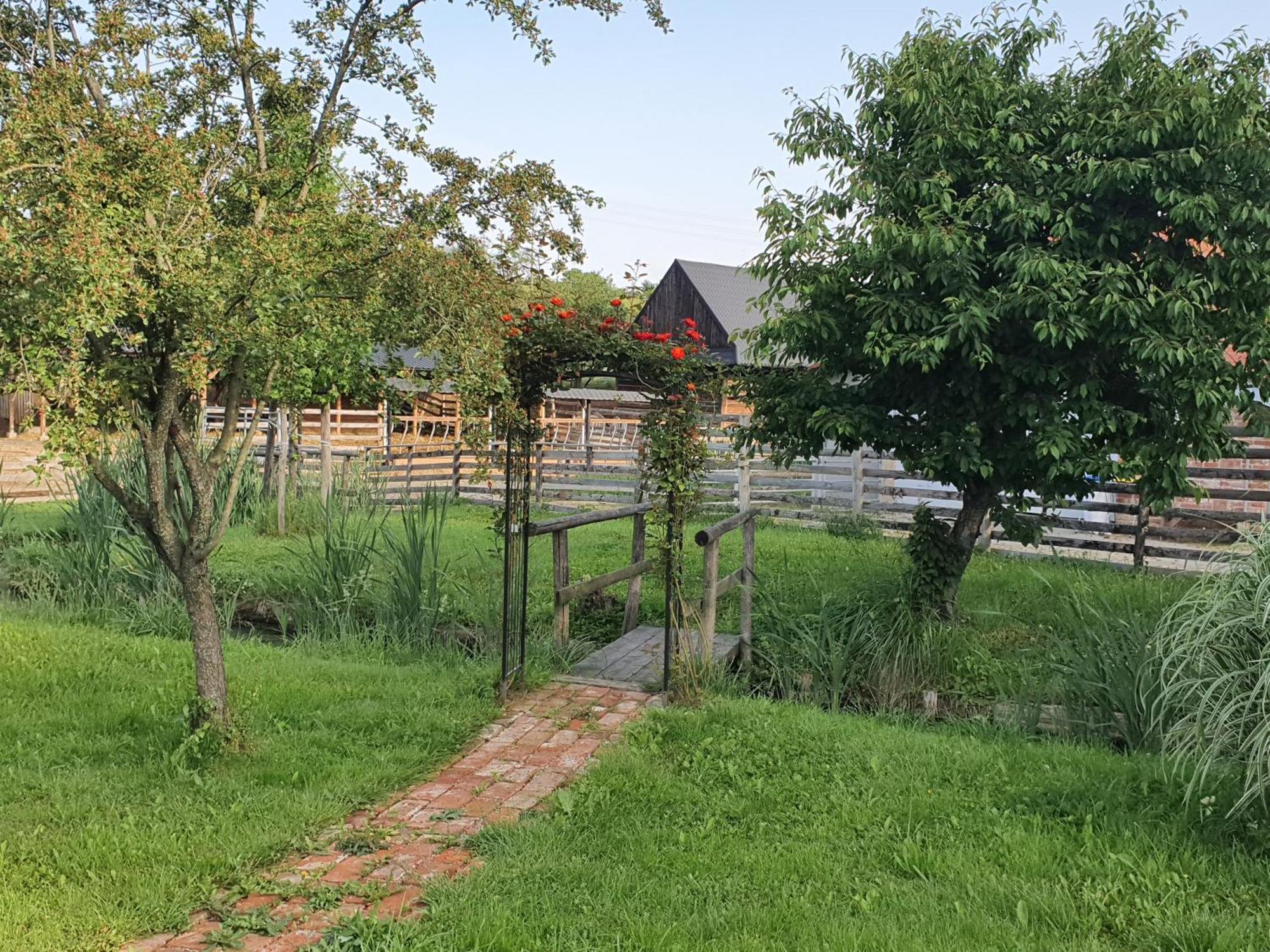 U Durkovych Guest House Zabokreky Nad Nitrou Bagian luar foto